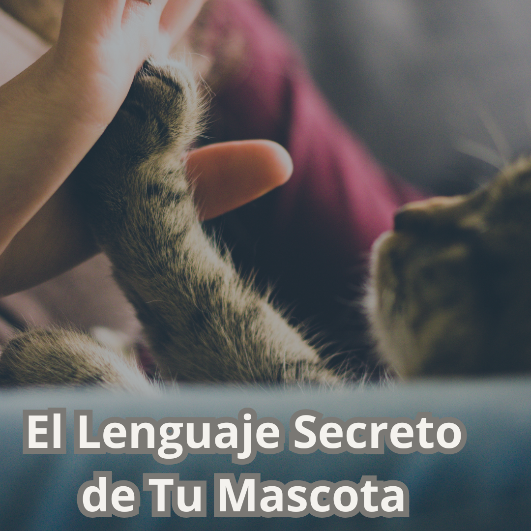 El Lenguaje Secreto de Tu Mascota