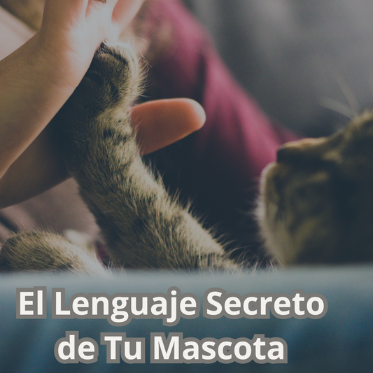 El Lenguaje Secreto de Tu Mascota