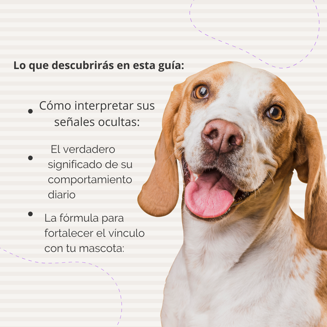 El Lenguaje Secreto de Tu Mascota