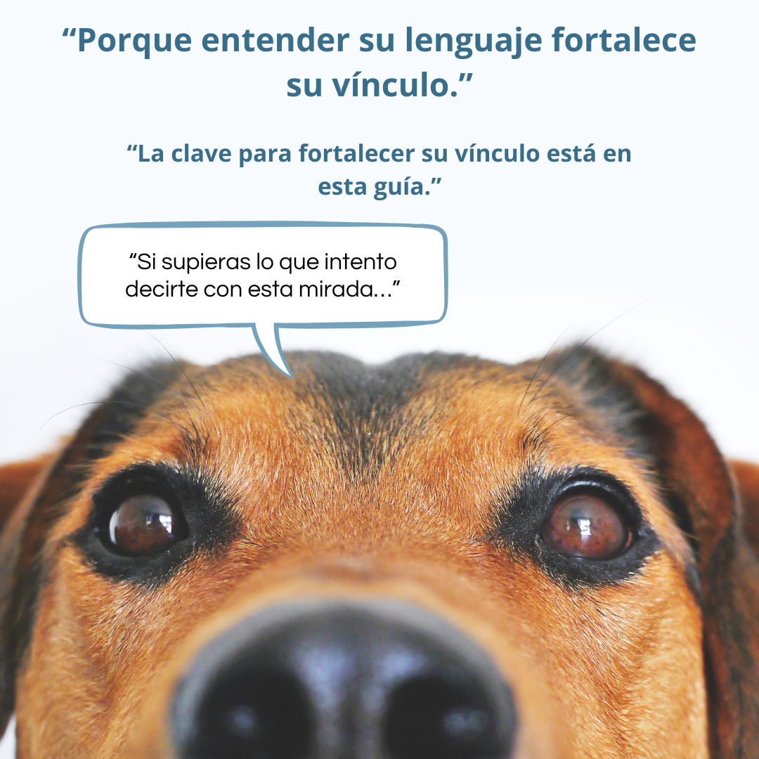 El Lenguaje Secreto de Tu Mascota